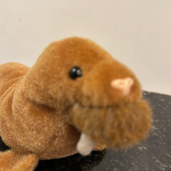 Ty Beanie Baby Paul the Walrus - 1999. Size 8”. No ear tag - Picture 2 of 8